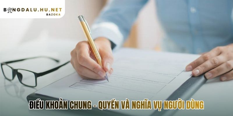 Điều khoản điều kiện phân định rõ trách nhiệm người dùng và nền tảng