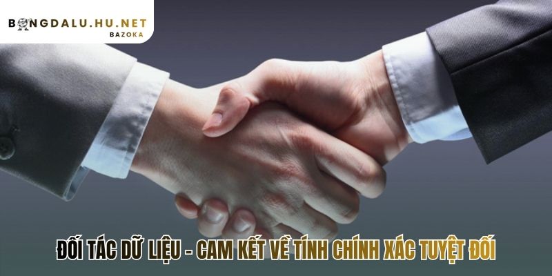Giới thiệu đối tác toàn cầu đảm bảo dữ liệu chính xác nhất