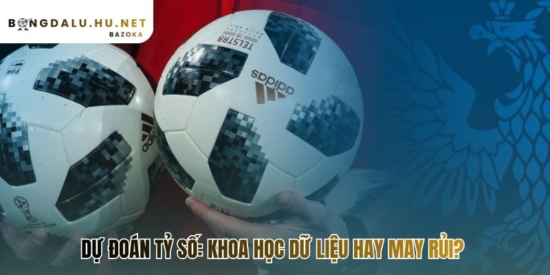 Phân biệt rõ ràng hai trường phái lý trí và cảm xúc